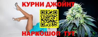 индика Будённовск