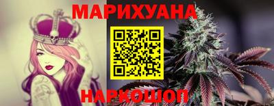 индика Будённовск