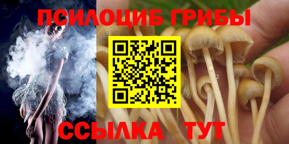 Галлюциногенные грибы мицелий Кудрово